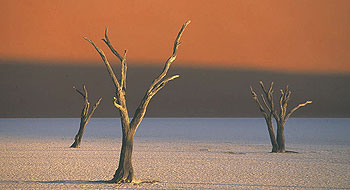 séjour en Namibie