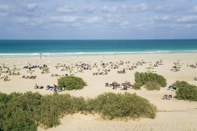 Séjour au Cap Vert en Hôtel-Club : Lookea Boa Vista Cabo Verde 4*